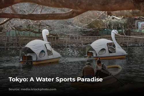 Tokyo: A Water Sports Paradise