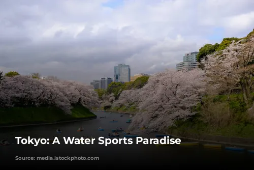 Tokyo: A Water Sports Paradise