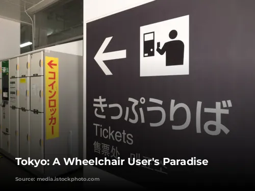 Tokyo: A Wheelchair User's Paradise