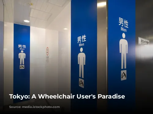 Tokyo: A Wheelchair User's Paradise