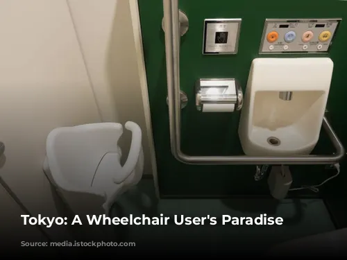 Tokyo: A Wheelchair User's Paradise