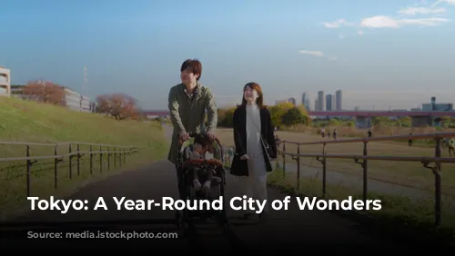 Tokyo: A Year-Round City of Wonders