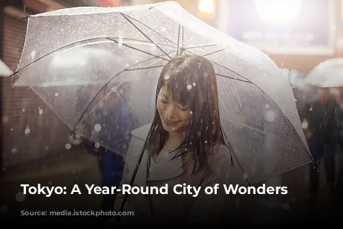 Tokyo: A Year-Round City of Wonders