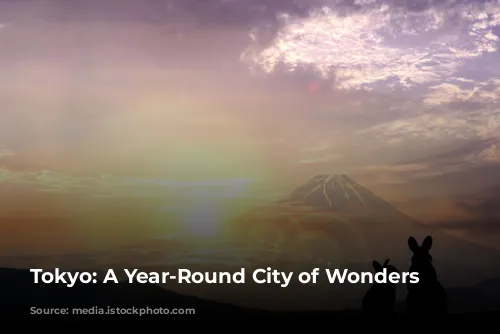 Tokyo: A Year-Round City of Wonders