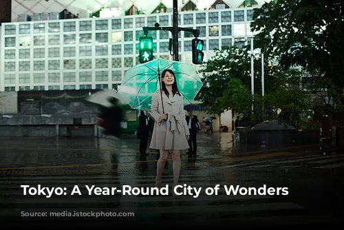 Tokyo: A Year-Round City of Wonders