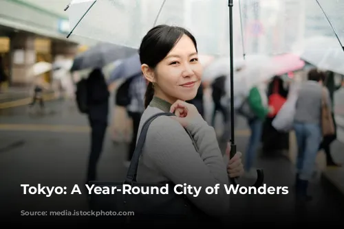 Tokyo: A Year-Round City of Wonders