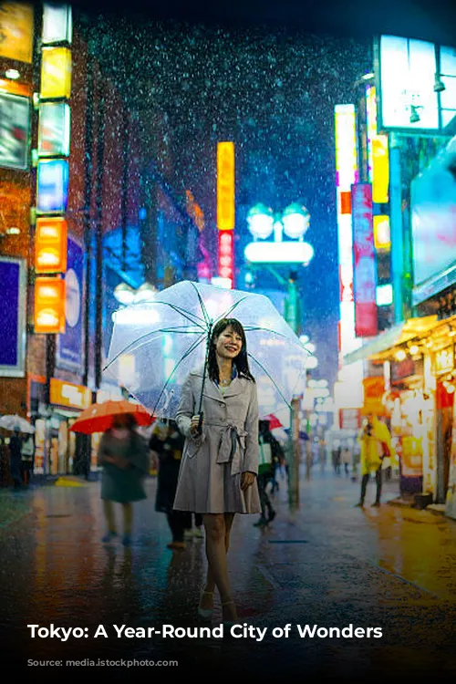 Tokyo: A Year-Round City of Wonders