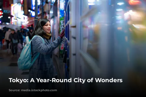 Tokyo: A Year-Round City of Wonders