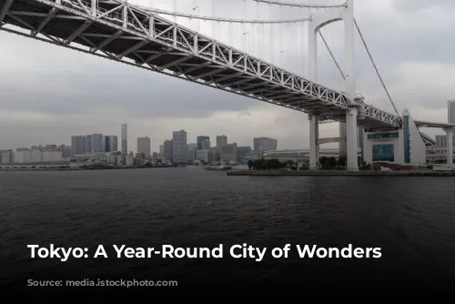 Tokyo: A Year-Round City of Wonders