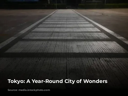 Tokyo: A Year-Round City of Wonders