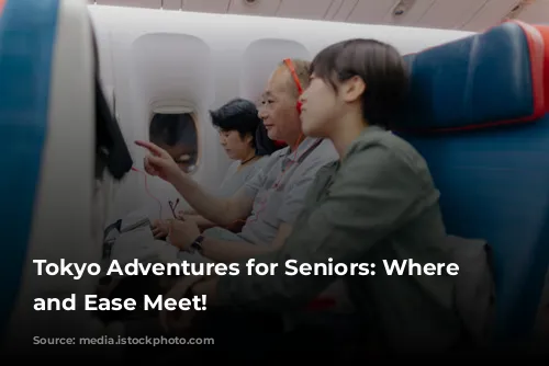 Tokyo Adventures for Seniors: Where Fun and Ease Meet!