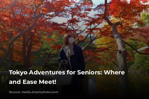 Tokyo Adventures for Seniors: Where Fun and Ease Meet!