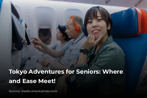 Tokyo Adventures for Seniors: Where Fun and Ease Meet!