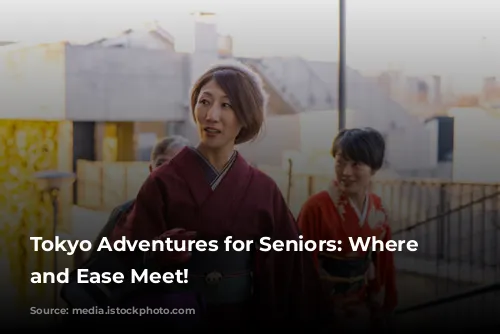 Tokyo Adventures for Seniors: Where Fun and Ease Meet!