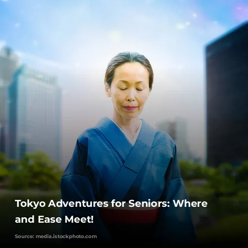 Tokyo Adventures for Seniors: Where Fun and Ease Meet!