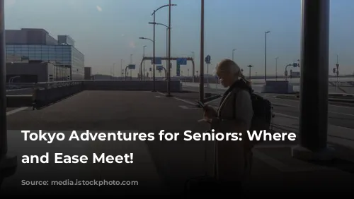 Tokyo Adventures for Seniors: Where Fun and Ease Meet!