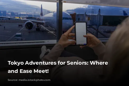 Tokyo Adventures for Seniors: Where Fun and Ease Meet!