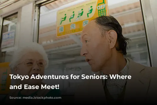 Tokyo Adventures for Seniors: Where Fun and Ease Meet!