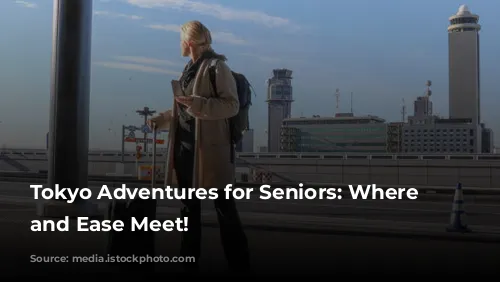 Tokyo Adventures for Seniors: Where Fun and Ease Meet!