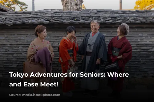 Tokyo Adventures for Seniors: Where Fun and Ease Meet!