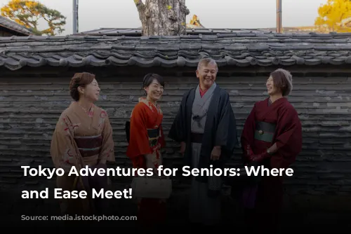 Tokyo Adventures for Seniors: Where Fun and Ease Meet!