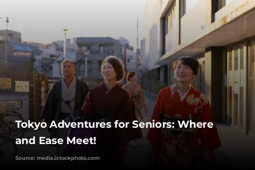 Tokyo Adventures for Seniors: Where Fun and Ease Meet!