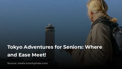 Tokyo Adventures for Seniors: Where Fun and Ease Meet!