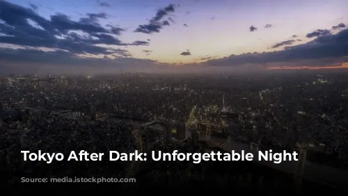 Tokyo After Dark: Unforgettable Night Adventures