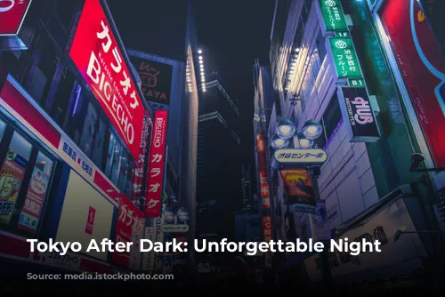 Tokyo After Dark: Unforgettable Night Adventures