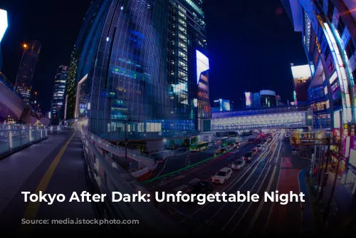 Tokyo After Dark: Unforgettable Night Adventures