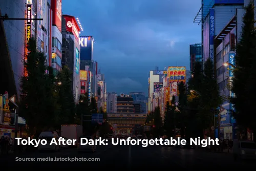 Tokyo After Dark: Unforgettable Night Adventures