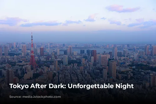 Tokyo After Dark: Unforgettable Night Adventures