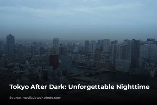 Tokyo After Dark: Unforgettable Nighttime Adventures