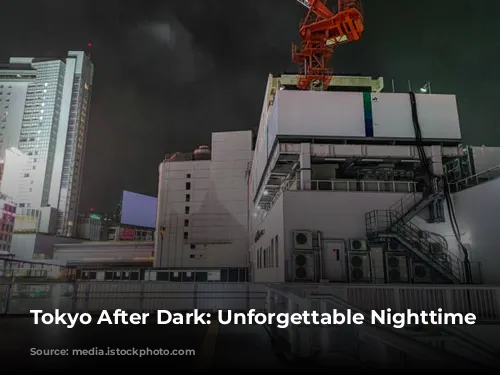 Tokyo After Dark: Unforgettable Nighttime Adventures