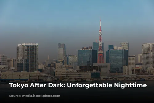 Tokyo After Dark: Unforgettable Nighttime Adventures