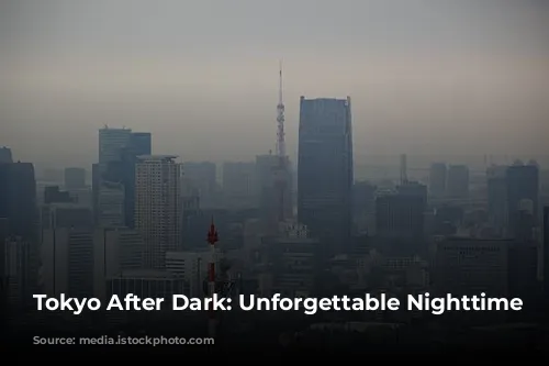 Tokyo After Dark: Unforgettable Nighttime Adventures