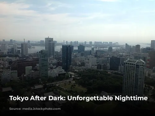 Tokyo After Dark: Unforgettable Nighttime Adventures