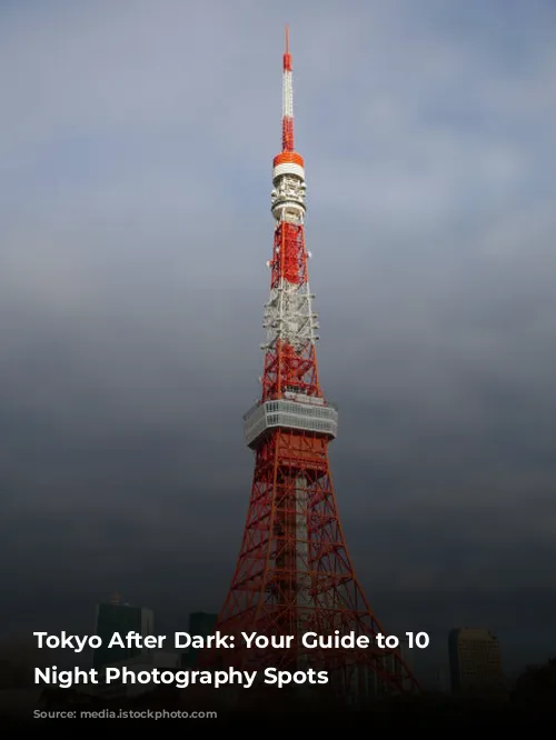 Tokyo After Dark: Your Guide to 10 Amazing Night Photography Spots