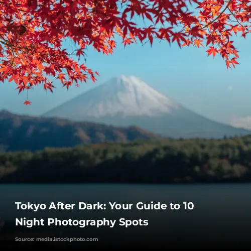 Tokyo After Dark: Your Guide to 10 Amazing Night Photography Spots