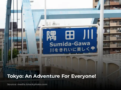 Tokyo: An Adventure For Everyone!