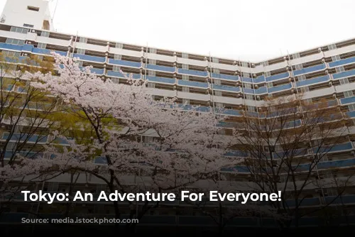 Tokyo: An Adventure For Everyone!