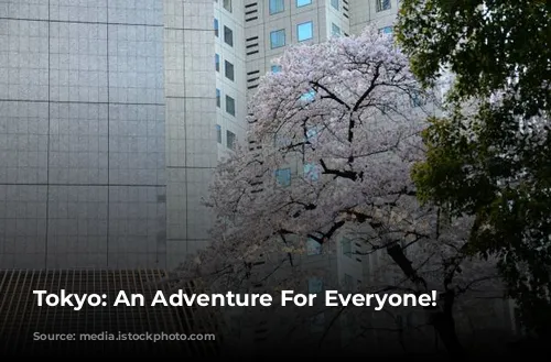 Tokyo: An Adventure For Everyone!