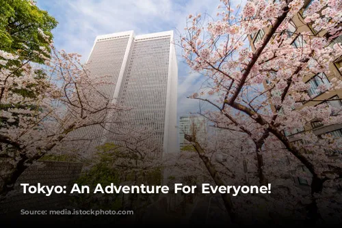 Tokyo: An Adventure For Everyone!