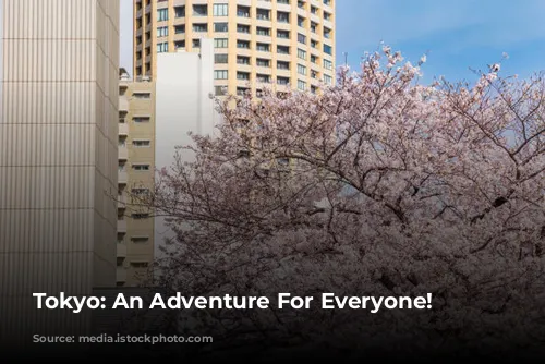 Tokyo: An Adventure For Everyone!