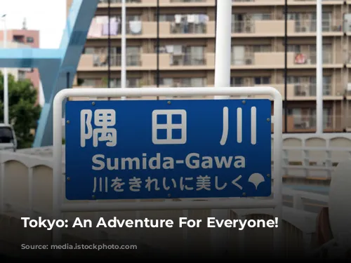 Tokyo: An Adventure For Everyone!