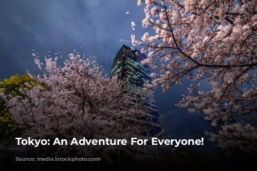 Tokyo: An Adventure For Everyone!