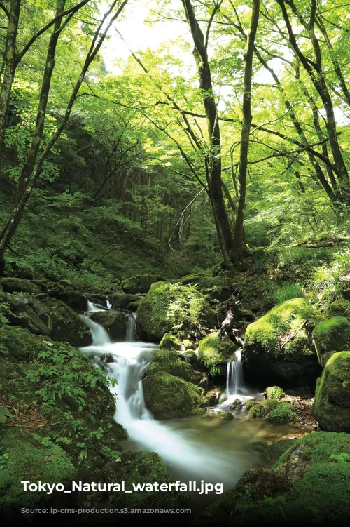 Tokyo_Natural_waterfall.jpg