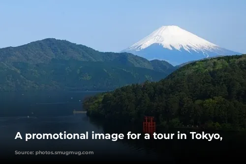 A promotional image for a tour in Tokyo, Japan