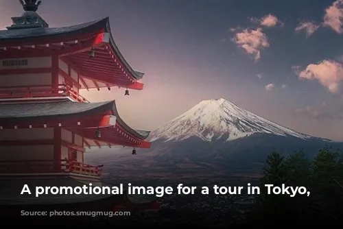 A promotional image for a tour in Tokyo, Japan