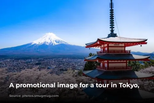 A promotional image for a tour in Tokyo, Japan